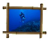 Cozumel
